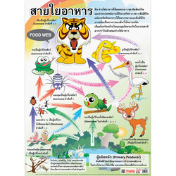 โปสเตอร์ความรู้ สายใยอาหาร No.104