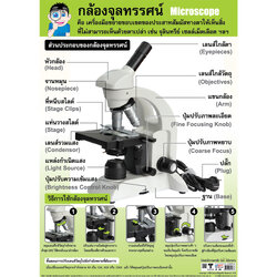 โปสเตอร์ความรู้ กล้องจุลทรรศน์ No.166