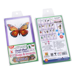 Bug and Insects Thai-English Flashcards