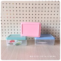 กล่องเหลี่ยมเล็ก-ฝาสี BX-2101 (TTI)