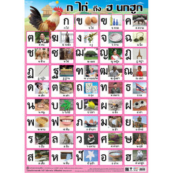 Thai Alphabets Educational Posters No.402