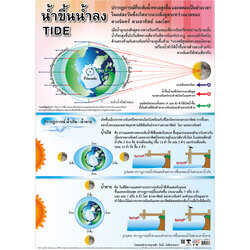 โปสเตอร์ความรู้ ปรากฏการณ์น้ำขึ้นน้ำลง No.186