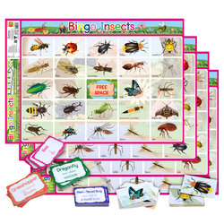 เกมบิงโก ชุดแมลง Insects ET-565