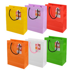 Shopping Bag B5 with rope handle BB-500