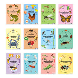 โปสเตอร์ความรู้ ชุดวงจรชีวิตสัตว์ ขนาดA4