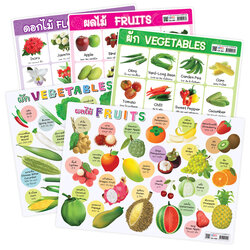 โปสเตอร์ความรู้ คำศัพท์ ไทย-อังกฤษ ชุดพืช ขนาดA4