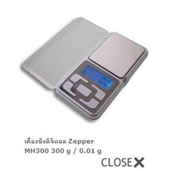 ตรงชั่ง ดิจิตรอน แบบพกพา MH-300