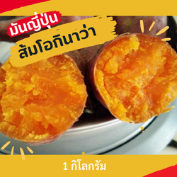 มันส้ม โอกินาว่า