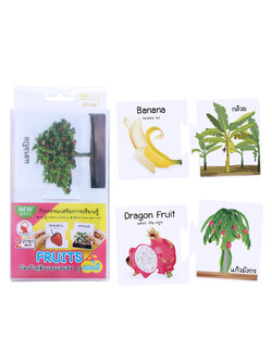 เกมต่อภาพจับคู่ บัตรคำ ชุดผลไม้ ต้นและผลผลิต ET-558