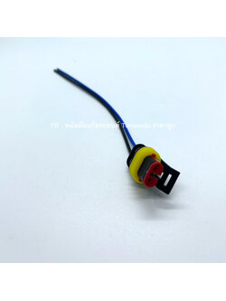 ปลั๊กรางหัวฉีดRail - รางหัวฉีด VALTEK