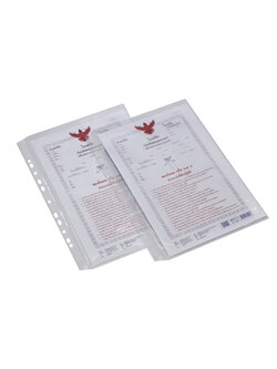 Plastic Pocket Sleeves with 11 holes punched edge B4 TI-201