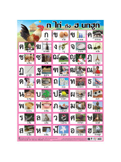 โปสเตอร์ความรู้ ก ไก่ ถึง ฮ นกฮูก No.402