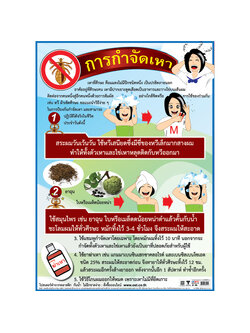 โปสเตอร์ความรู้ การกำจัดเหา No.144