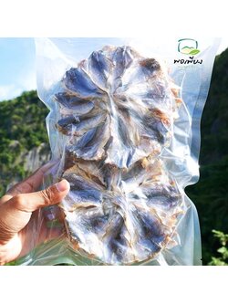 ปลาหัวโม่งตากแห้ง แพค 10วง(ปลีก)