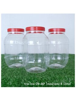 ขวดโหล ฝาแดง 8 ปอนด์
