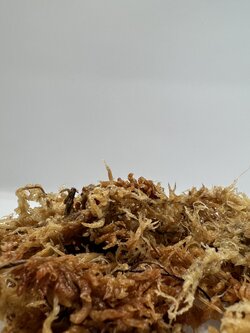 Sphagnum moss 25g.