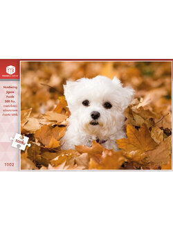 Jigsaw Puzzle ตัวต่อจิ๊กซอว์ 500 ชิ้น T002 Animals สัตว์ Poodle Dog Puppy รูปหมาพูเดิล MagicLand6
