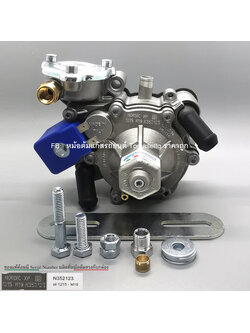 Tomasetto รุ่น AT-09 NORDIC XP 250 HP