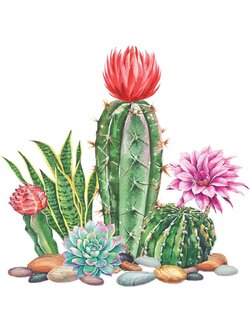 cactus-2001 *สินค้าหมด* ชุดภาพติดคริสตัลกลม ลายต้นตะบองเพชร (งานติดเต็มภาพ) ขนาด 40*40 ซม.ผ้าแคนวาส ลงกาวติดเต็มลาย+คริสตัลกลม 30 สี+อุปกรณ์ครบชุด