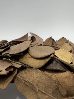 LEAF LITTER 1,200 ml.