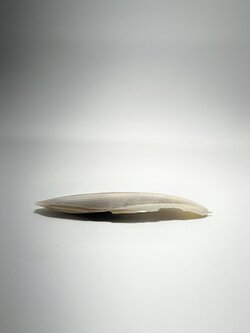 !SOMATE CUTTLEBONE 38g.