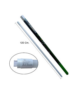 Savelight LED TUBE T8 GLASS ECO 18W