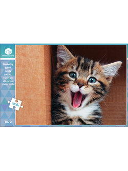 Jigsaw Puzzle ตัวต่อจิ๊กซอว์ 500 ชิ้น T070 Animals สัตว์ Cat รูปแมว MagicLand6