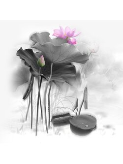 bua-2023 *พร้อมส่ง* ชุดภาพติดคริสตัลกลม ลายบึงบัว 2 (งานติดเต็มภาพ) ขนาด 36*36 ซม. คริสตัลกลม 27 สี อุปกรณ์ครบชุด