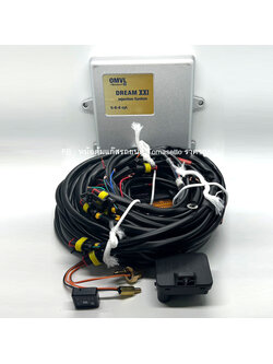 ชุดแก๊ส OMVL 6 สูบ (ไม่มีหม้อต้ม /ไม่มีรางหัวฉีด) พร้อม แผ่นโปรแกรม