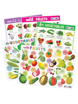 Frequently Used English Vocabulary for Plants Educational Posters A4 size