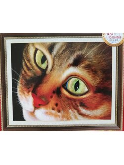 cat-1076 *สินค้าหมด* ชุดปักครอสติช ลายแมวน้อยตาโต (งานปักเต็มลาย ไม่มีเดินเส้น) ขนาด 46*40 ซม.ผ้าครอสติช 11CTพิมพ์ลายปักบนผ้า ไหมคอตตอน 43 สี ผังลาย เข็ม