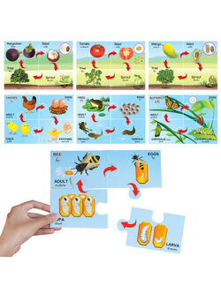 Four Piece Matching Puzzles Game Life Cycles