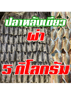 ปลาหลังเขียว ขายส่ง 5โล