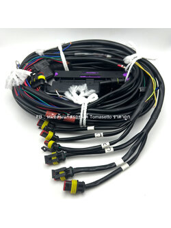 สายไฟแก๊ส 6 สูบ OMVL