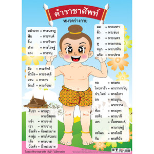 โปสเตอร์ความรู้ คำราชาศัพท์หมวดร่างกาย No.150