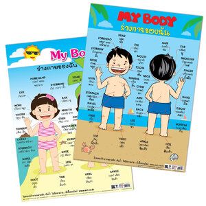 โปสเตอร์ความรู้ ร่างกายของฉัน My Body