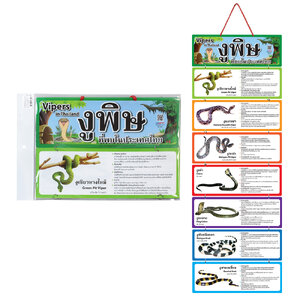 สื่อแขวน ชุดงูพิษที่พบในประเทศไทย ET-641