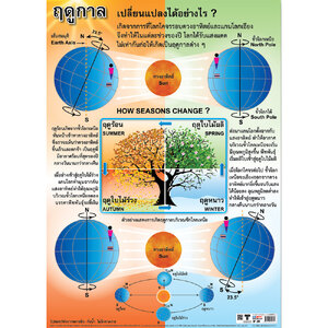 โปสเตอร์ความรู้ ฤดูกาลเปลี่ยนแปลงอย่างไร No.273