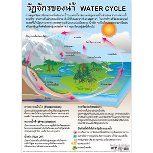 โปสเตอร์ความรู้ วัฏจักรของน้ำ No.188