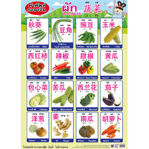 โปสเตอร์ความรู้ คำศัพท์ภาษาจีน ผัก No.319