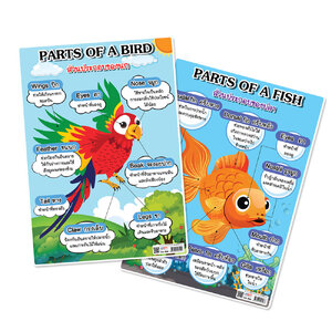 โปสเตอร์ความรู้ ส่วนประกอบของสัตว์ ขนาด A4