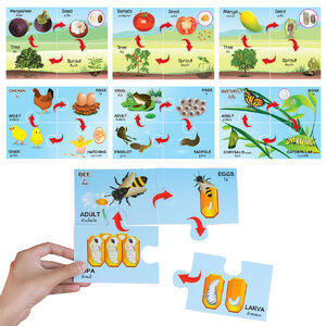 เกมจิ๊กซอว์ ชุดวงจรชีวิต