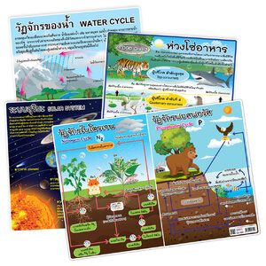 โปสเตอร์ความรู้ ชุดวิทยาศาสตร์สิ่งแวดล้อม ขนาดA4