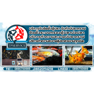 TP Service บริการรับติดตั้งตู้ปลา รับทำบ่ปลาคราฟ เขตพระนคร