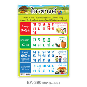 โปสเตอร์ความรู้ ไตรยางศ์ ขนาดA4