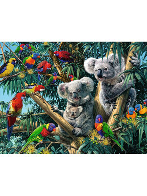 animal-2005 *สินค้าหมด* ชุดภาพติดคริสตัลกลม ลายนกแก้วกับโคอาลา (งานติดเต็มภาพ) ขนาด 50*40 ซม.ผ้าแคนวาสลงผังลายเต็ม คริสตัลกลม 30 สี อุปกรณ์ครบชุด