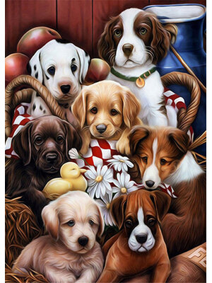 dog-2007 *สินค้าหมด* ชุดภาพติดคริสตัลกลม ลายรวมน้องหมา (งานติดเต็มภาพ) ขนาด 40*50 ซม.ผ้าแคนวาสลงผังลายเต็ม คริสตัลกลม 30 สี อุปกรณ์ครบชุด