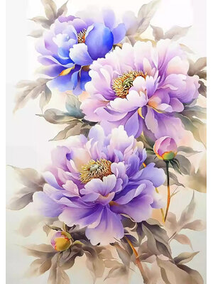 botan-1156 *สินค้าหมด* ชุดปักครอสติช ลายช่อโบตั๋นม่วง (ปักเต็มผืนผ้า ไม่มีเดินเส้น ผ้า11CT พิมพ์ลาย ปัก 3 เส้นเล็ก) ขนาด 50*70 ซม.ผ้าครอสติช 11CTพิมพ์ลายปักบนผ้า ไหมคอตตอน 30 สี ผังลาย เข็ม