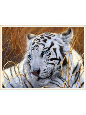 tiger-2016 *พร้อมส่ง* ชุดภาพติดคริสตัลกลม ลายเสือขาว (งานติดเต็มภาพ) ขนาด 50*40 ซม.ผ้าแคนวาส ลงกาวติดเต็มลาย+คริสตัลกลม 25 สี+อุปกรณ์ครบชุด