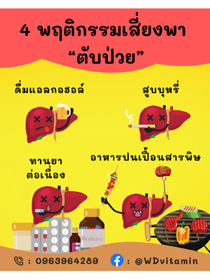 4 พฤติกรรมเสี่ยงพา “ตับป่วย”